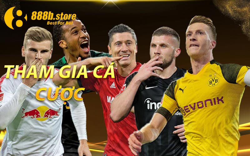 Tham Gia Cá Cược