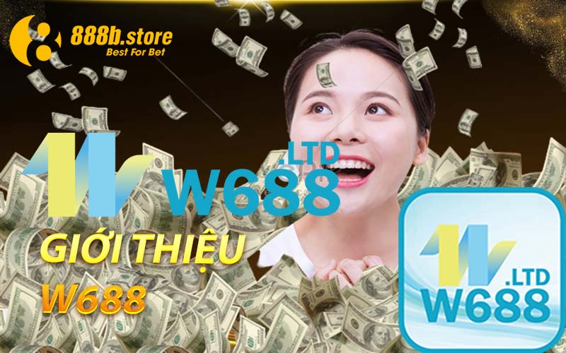 Giới thiệu W688